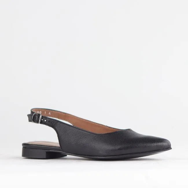 Pointed Flat Slingback in Black - 12729