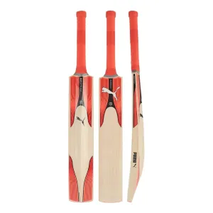 Puma Evo Speed Youth Kashmir Willow Cricket Bat