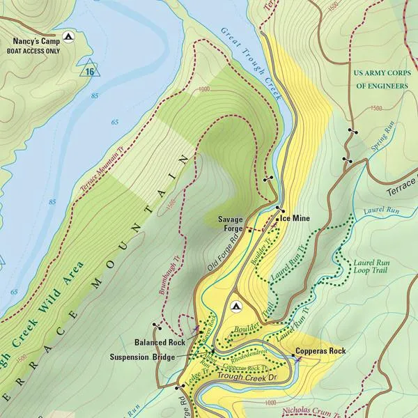 Raystown Lizard Map, Pennsylvania